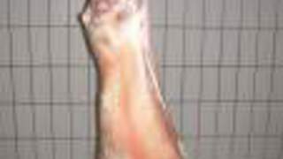 Lammfleisch